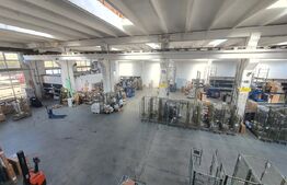 Hala si cladire de birouri,  1779mp utili si 45 arii de teren, Bistrita