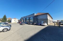 Hala si cladire de birouri,  1779mp utili si 45 arii de teren, Bistrita