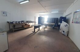 Hala si cladire de birouri,  1779mp utili si 45 arii de teren, Bistrita