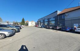 Hala si cladire de birouri,  1779mp utili si 45 arii de teren, Bistrita