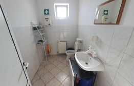 Hala si cladire de birouri,  1779mp utili si 45 arii de teren, Bistrita