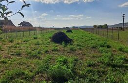 Casa 40 Km de Bistrita, 3000mp teren