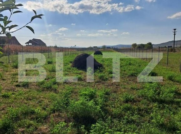 Casa de vânzare 3 camere Sud-Vest - 161122CV | BLITZ Bistriţa | Poza3
