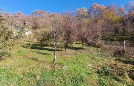 Teren intravilan 1300mp, langa padure