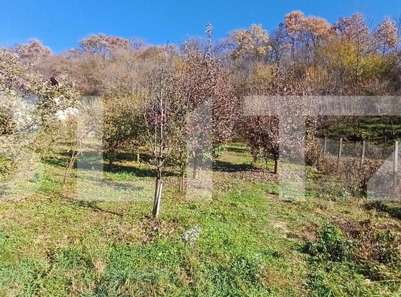 Teren de vânzare Est - 161405TV | BLITZ Bistriţa | Poza1