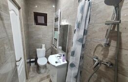 Cabana cu accesc la lac, 1400mp teren Colibita