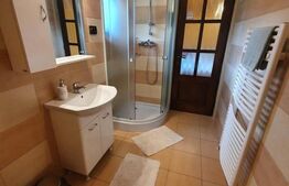 Cabana cu accesc la lac, 1400mp teren Colibita