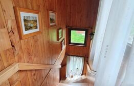 Cabana cu accesc la lac, 1400mp teren Colibita