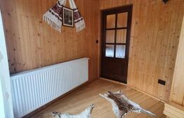 Cabana cu accesc la lac, 1400mp teren Colibita