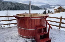 Cabana cu accesc la lac, 1400mp teren Colibita