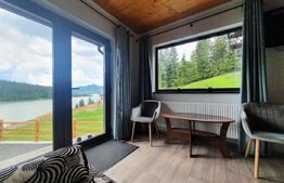 Cabana cu accesc la lac, 1400mp teren Colibita