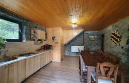 Cabana cu accesc la lac, 1400mp teren Colibita