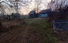 Casa batraneasca,55mp utili, teren aferent 2700mp+1ha teren agricol,zona Brateni