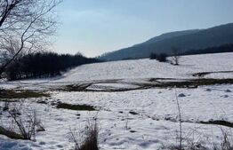 Teren  INTRAVILAN 4100mp, Viisoara, langa Metaller