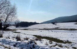 Teren  INTRAVILAN 4100mp, Viisoara, langa Metaller