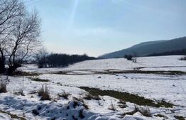 Teren  INTRAVILAN 4100mp, Viisoara, langa Metaller