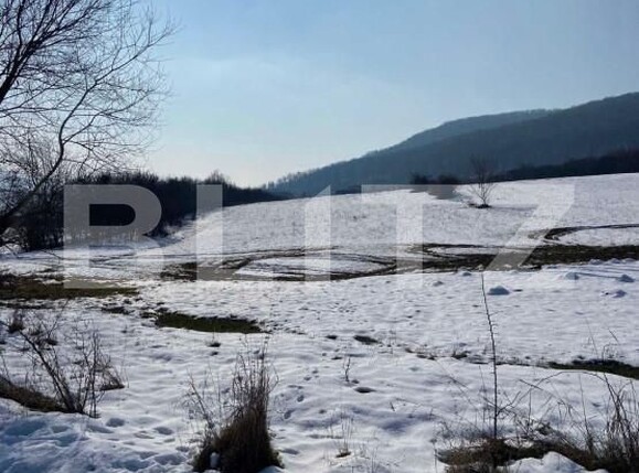 Teren de vânzare Viișoara - 161726TV | BLITZ Bistriţa | Poza2