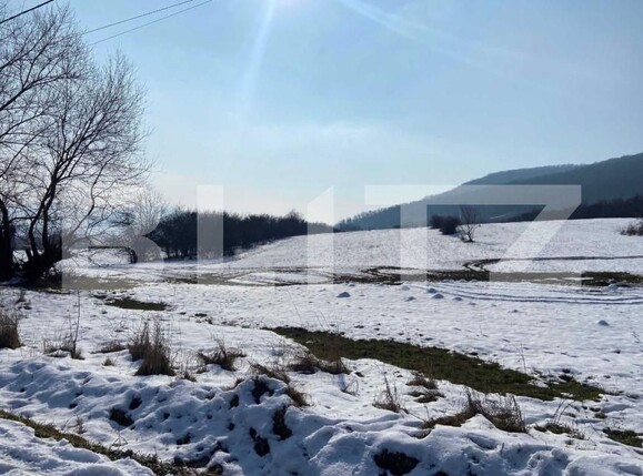 Teren de vânzare Viișoara - 161726TV | BLITZ Bistriţa | Poza3