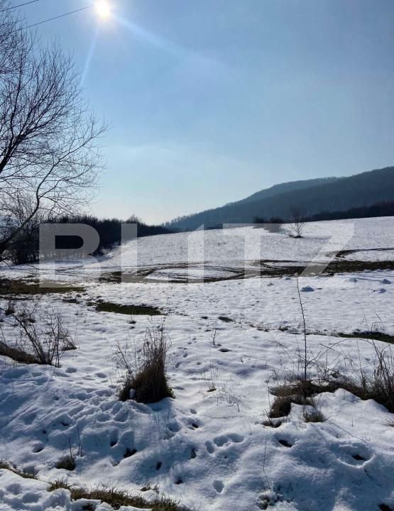 Teren de vânzare Viișoara - 161726TV | BLITZ Bistriţa | Poza2