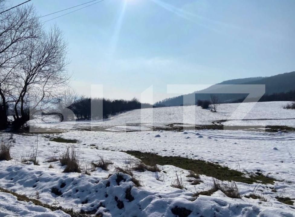 Teren de vânzare Viișoara - 161726TV | BLITZ Bistriţa | Poza1