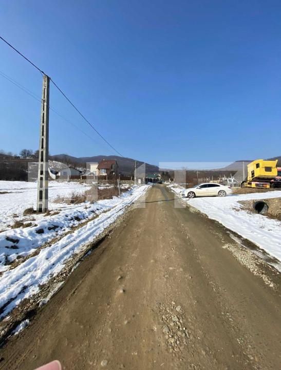 Teren de vânzare Viișoara - 161726TV | BLITZ Bistriţa | Poza5