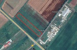 Teren 87 ari extravilan, Sieu-Magherus