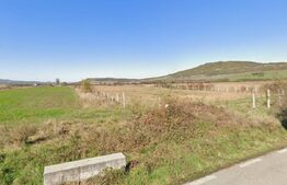 Teren 87 ari extravilan, Sieu-Magherus