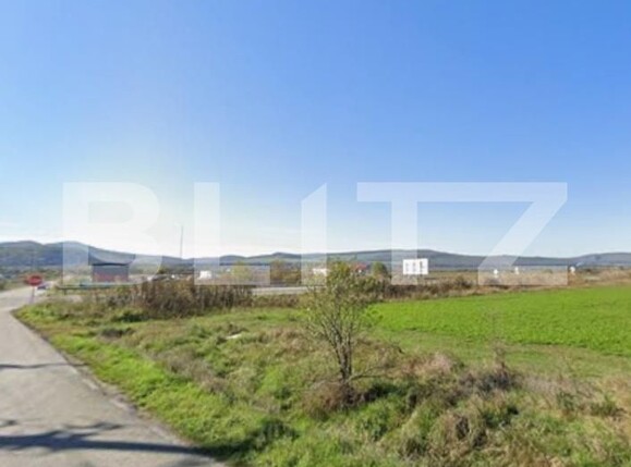 Teren de vânzare Exterior Sud - 161778TV | BLITZ Bistriţa | Poza2