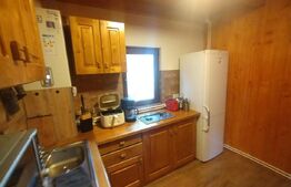 Cabana rustica din lemn,88mp utili,180 mp teren,zona Baile Figa