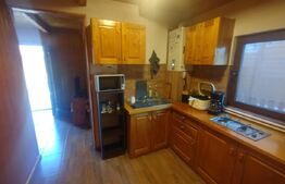 Cabana rustica din lemn,88mp utili,180 mp teren,zona Baile Figa