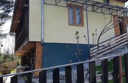 Cabana de vacanță în Piatra Fântânele + 3 arii teren