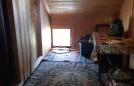 Cabana de vacanță în Piatra Fântânele + 3 arii teren