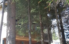 Cabana de vacanță în Piatra Fântânele + 3 arii teren