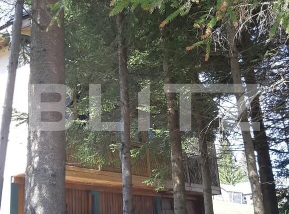 Casa de vânzare 3 camere Exterior Nord - 162122CV | BLITZ Bistriţa | Poza3