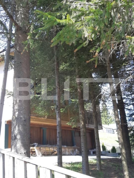 Casa de vânzare 3 camere Exterior Nord - 162122CV | BLITZ Bistriţa | Poza16