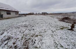 Teren  exctravilan,  10  ar la 10  km de bistrita 