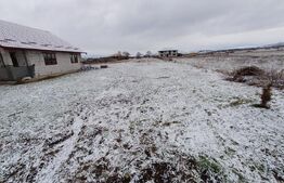 Teren  exctravilan,  10  ar la 10  km de bistrita 