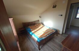 Cabana 2 nivele,90 mp utili,182 mp teren,ciubar,terasa,gratar,Baile Figa