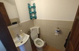 Cabana 2 nivele,90 mp utili,182 mp teren,ciubar,terasa,gratar,Baile Figa