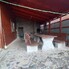 Casa de vânzare 3 camere Beclean - 162147CV - Poza 1 din 12 | BLITZ Bistriţa | Poza2