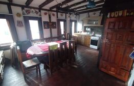 Cabana 2 nivele,88 mp utili,490 mp de teren,terasa,gratar,zona Vip,Baile Figa