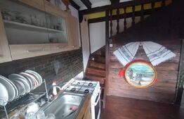 Cabana 2 nivele,88 mp utili,490 mp de teren,terasa,gratar,zona Vip,Baile Figa