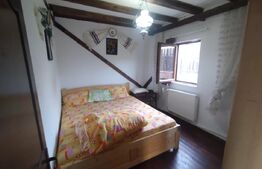 Cabana 2 nivele,88 mp utili,490 mp de teren,terasa,gratar,zona Vip,Baile Figa