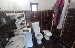 Cabana 2 nivele,88 mp utili,490 mp de teren,terasa,gratar,zona Vip,Baile Figa