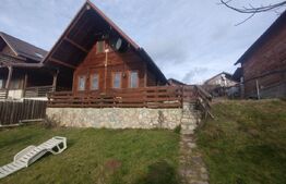 Cabana 2 nivele,88 mp utili,490 mp de teren,terasa,gratar,zona Vip,Baile Figa