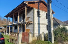 Casa + 20 arii  teren, distanta  30 km de Bistrita