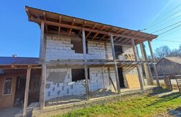 Casa + 20 arii  teren, distanta  30 km de Bistrita