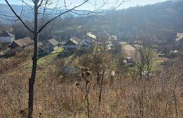 Casa + 20 arii  teren, distanta  30 km de Bistrita