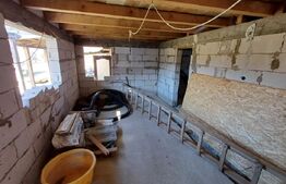 Casa + 20 arii  teren, distanta  30 km de Bistrita