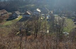 Casa + 20 arii  teren, distanta  30 km de Bistrita